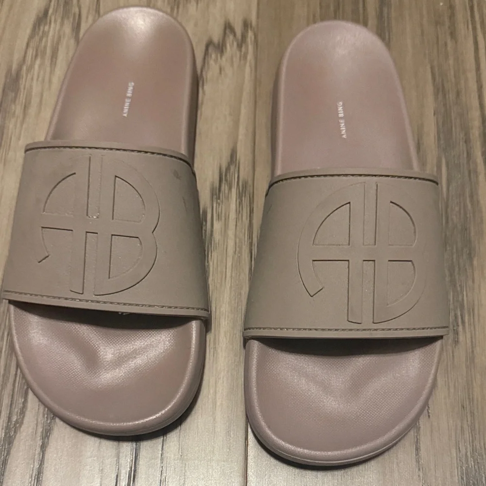 Anine Bing Women's Taupe Slide Sandals - Picture 2 of 3
